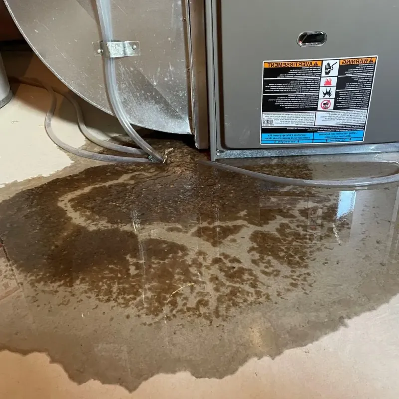 Pipe Burst and Leak Restoration in Waunakee, WI